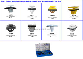 SK-01 Набор клипс для южно-корейских авто (8 наименований -200 штук.)